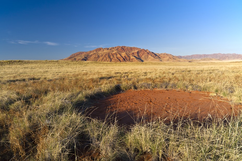 Visiting the Mysterious Fairy Circles of the Namib Desert - The Atlantic