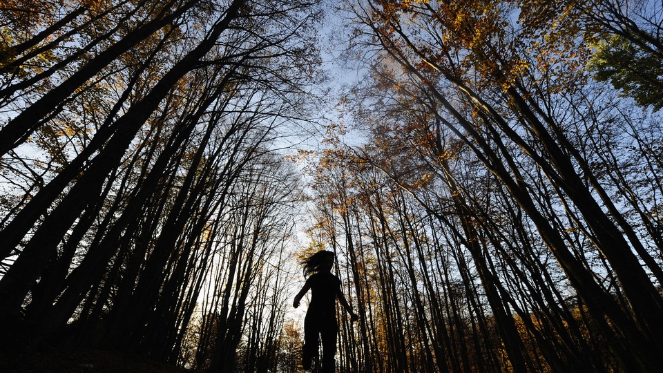 A child runs through a forest of tall trees.