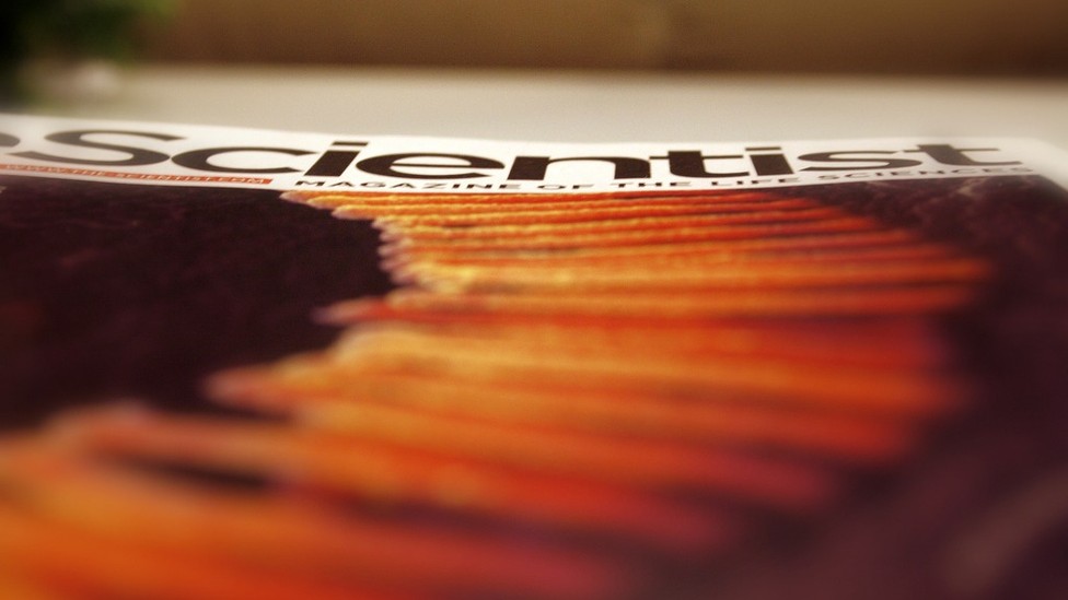 How Scientists Are Learning to Write - The Atlantic