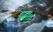 A green leaf floating on water, over which a blue-and-gold image of a galaxy has been laid