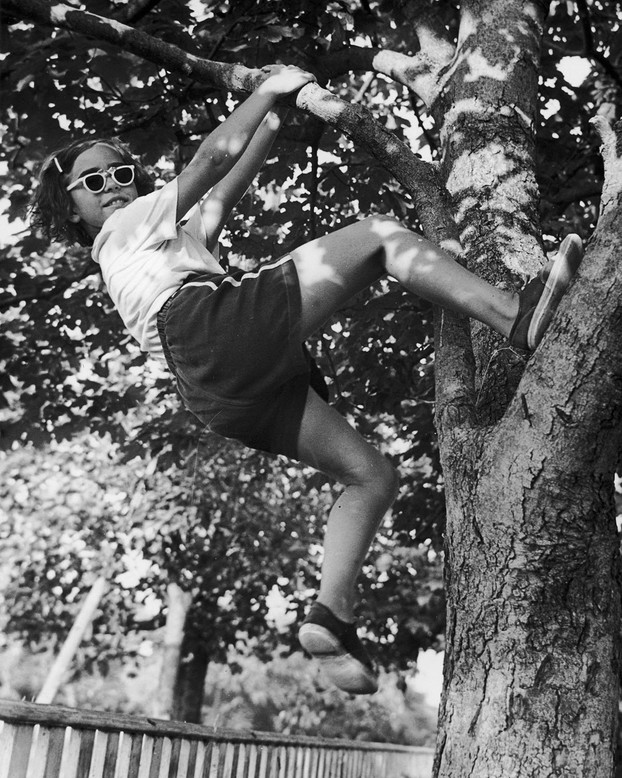 Let Your Kid Climb That Tree The Atlantic