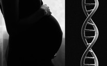 a black and white image of a pregnant belly, next to a DNA helix