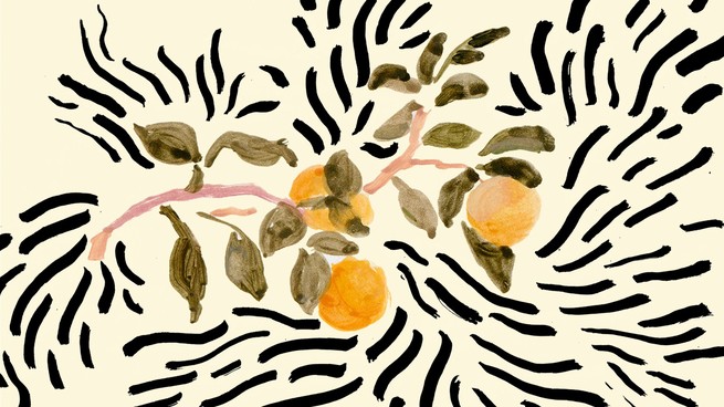 An illustration of an orange tree