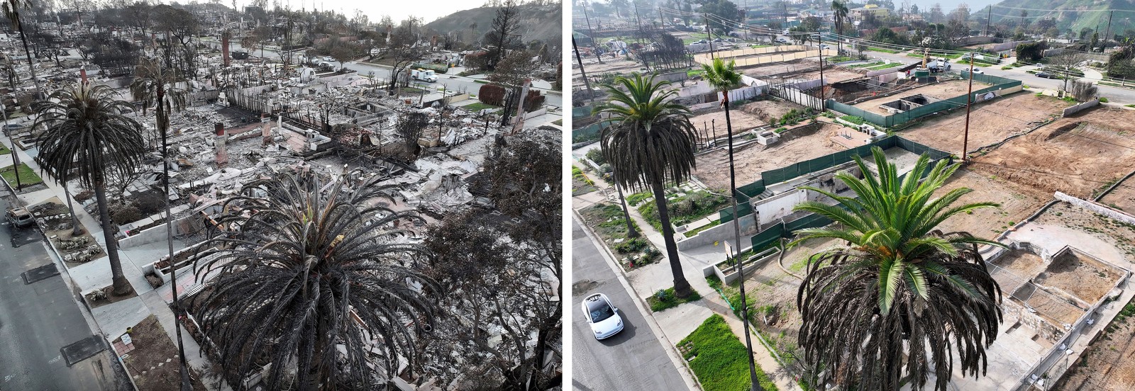A pair of aerial views of the same location, one year apart. At left scorched palm trees and the ashes of burned houses, at right, regrowing palm trees, and vacant lots
