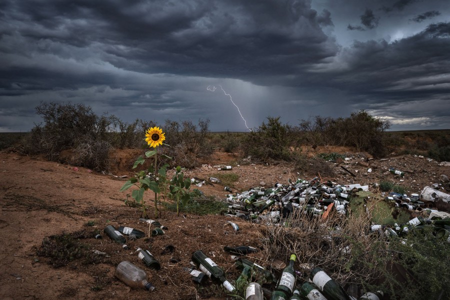 La foudre frappe alors qu'un orage passe au-dessus d'un dépotoir avec un seul tournesol debout dedans.
