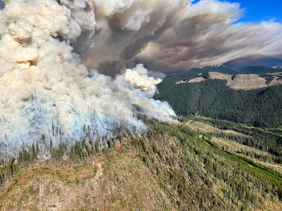 An aerial view of smoke rising over burning trees and brush