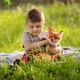 A toddler holds a fox in a grassy meadow