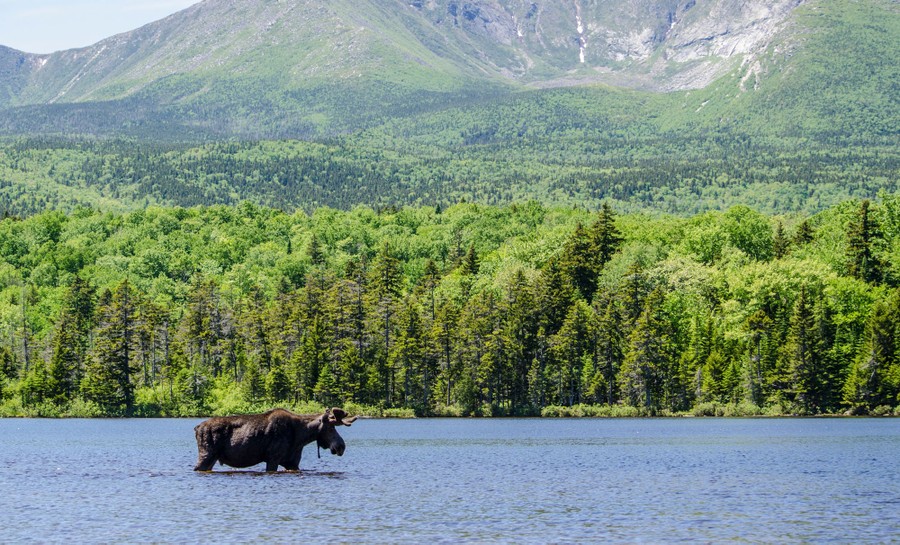 maine-images-of-the-pine-tree-state-the-atlantic