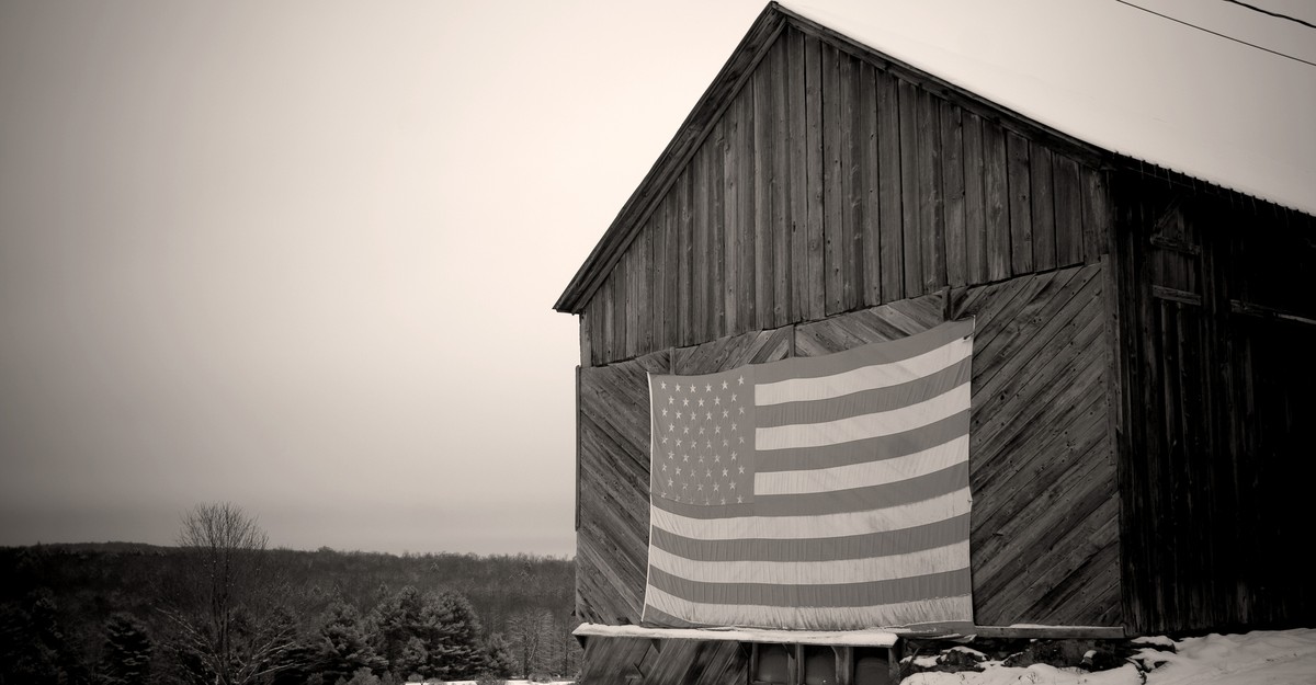 American Democracy Is Showing Signs of Life