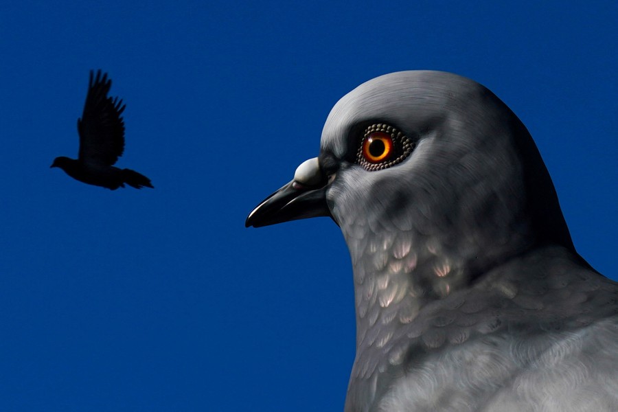 A pigeon flies past a 16-foot-tall pigeon sculpture.