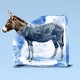 An illustration of a donkey in a thawing block of ice