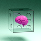 a brain in a transparent die