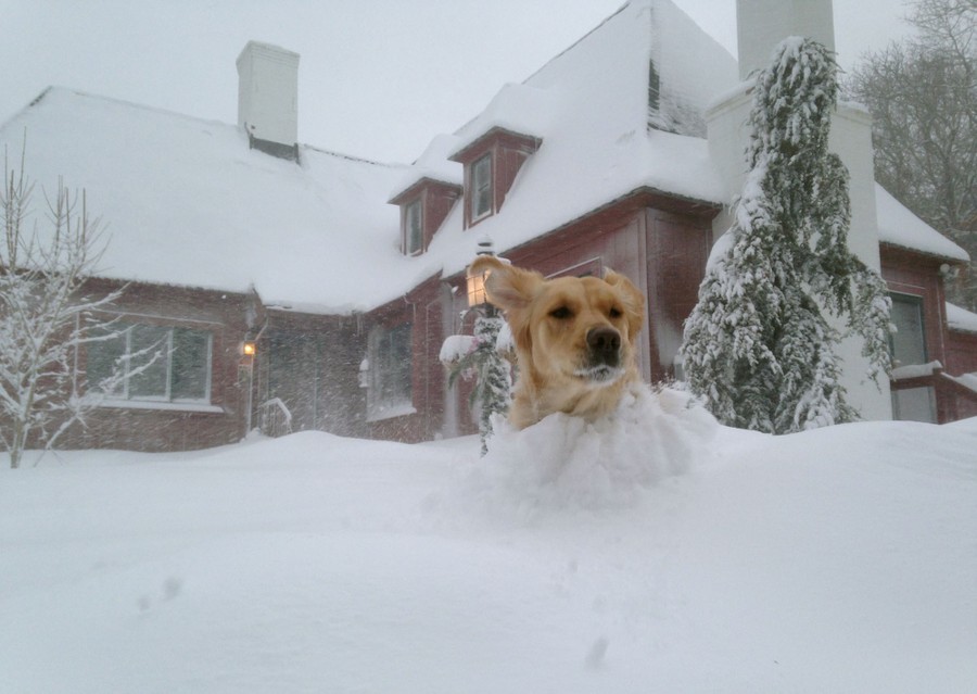 What Record Breaking Snow Really Looks Like The Atlantic