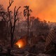 LA during the fire: The sky is orange, palm trees singled, and in the remains of a house a flame is still burning