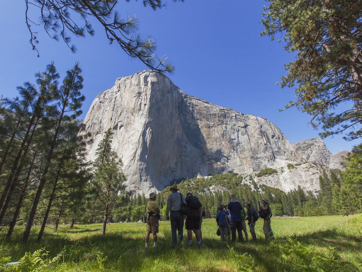 Free Solo Climber Alex Honnold Ascends Yosemite's El Capitan