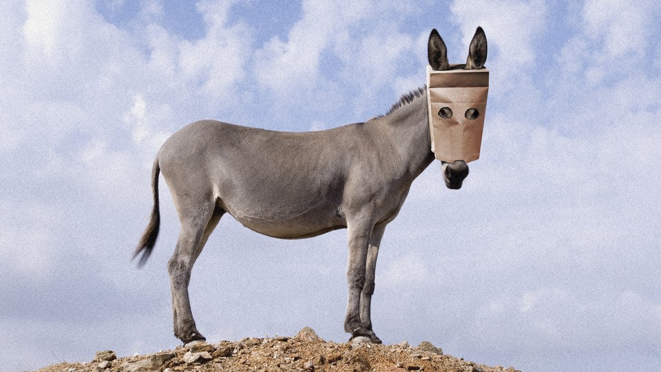 a donkey with a paper bag on its head