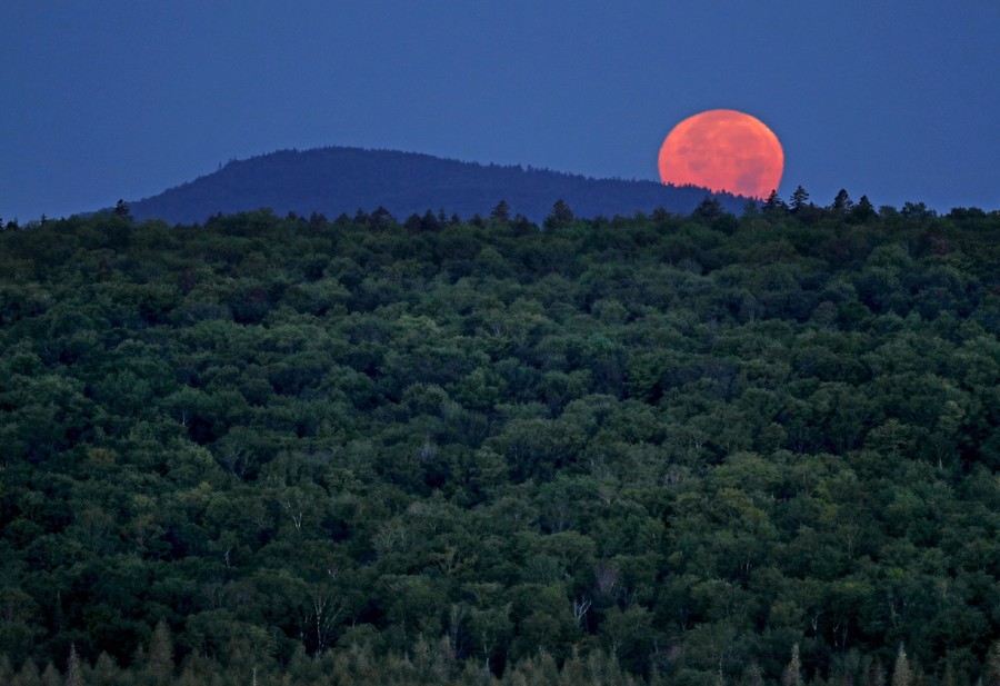 Daily Life in Maine, as Photographed by Robert F. Bukaty The Atlantic