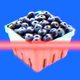 blueberries being scanned