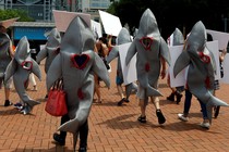 Activists protest a Chinese restaurant for providing shark-fin soup. 