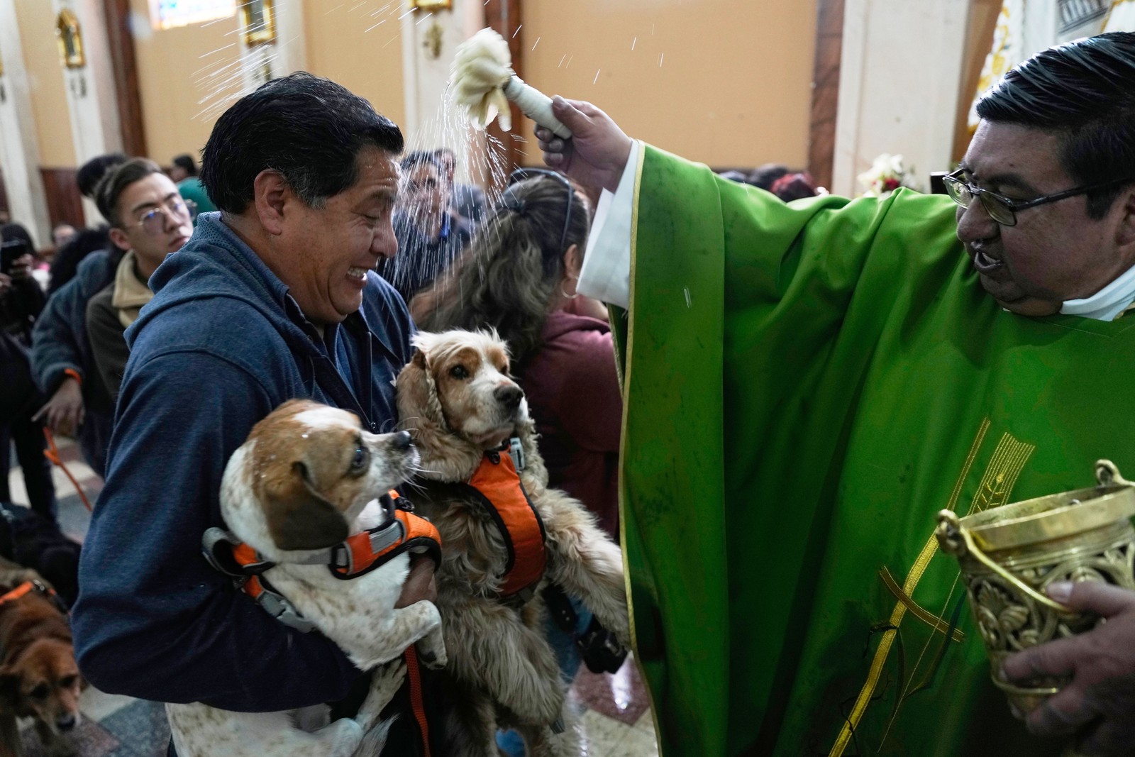 A priest blesses two dogs with holy water while they are held by a man who reacts as the water splashes him too.
