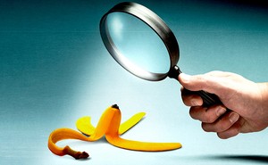 All Stories by Glenn Fine - The Atlantic