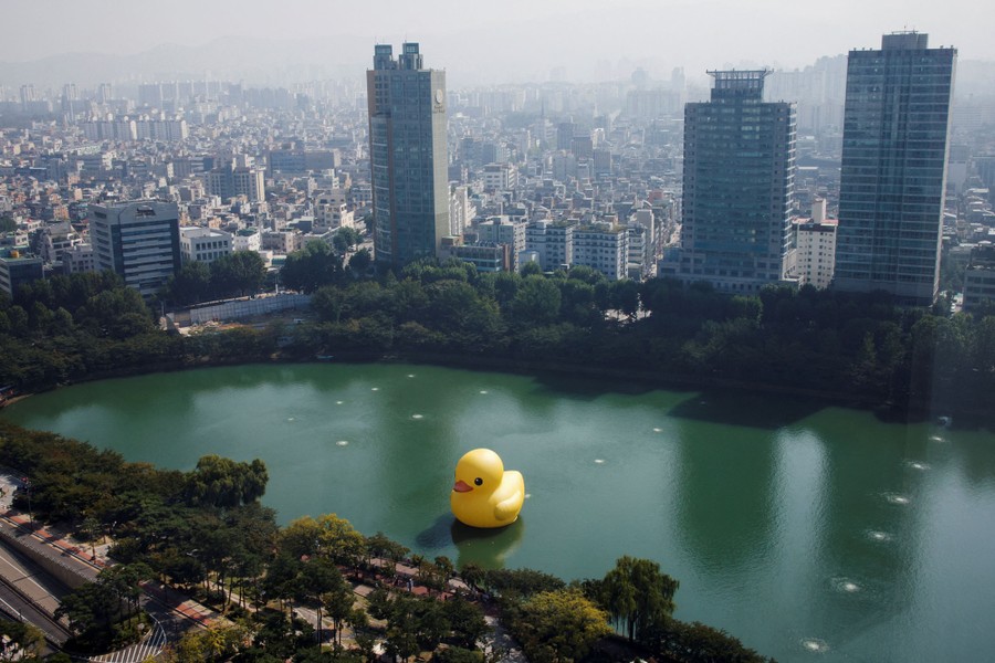 A giant inflatable rubber duck floats in a body of water near city buildings.