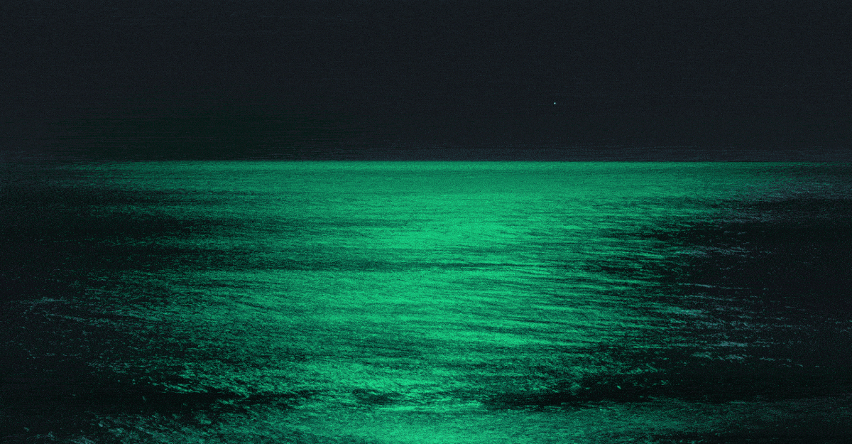 And Then the Ocean Started to Glow