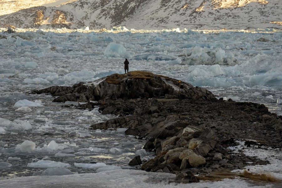 A person watches as icebergs pile up in a harbor.