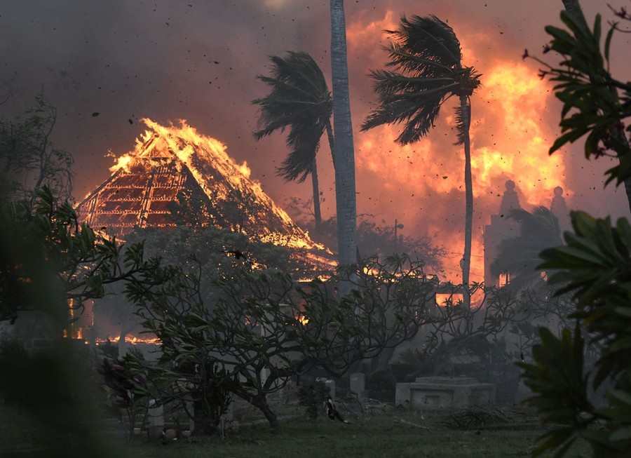 The roof of a structure burns with large flames visible in the background, as palm trees are blown by strong winds.
