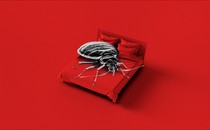 A black-and-white graphic of a giant bedbug on top of a red bedspread, against a red backdrop