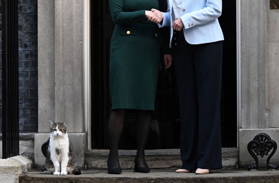 A cat rests on a stoop beside two people who stand and shake hands, posing for a photograph.