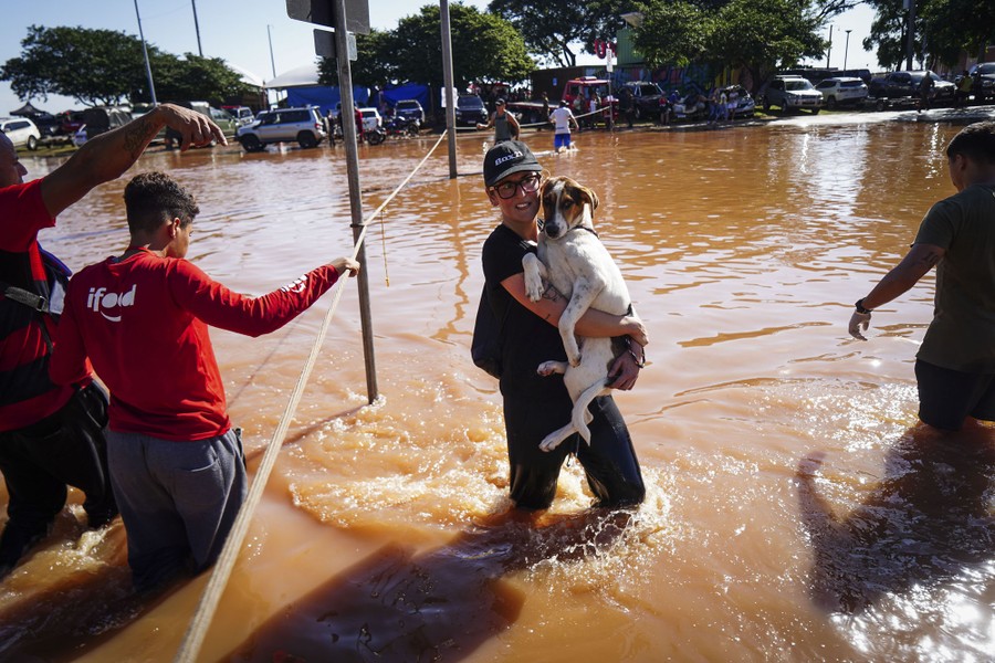 A woman cradling a dog wades through a flooded street.