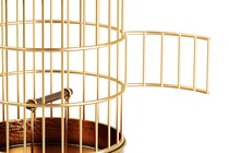 A golden birdcage with an open door