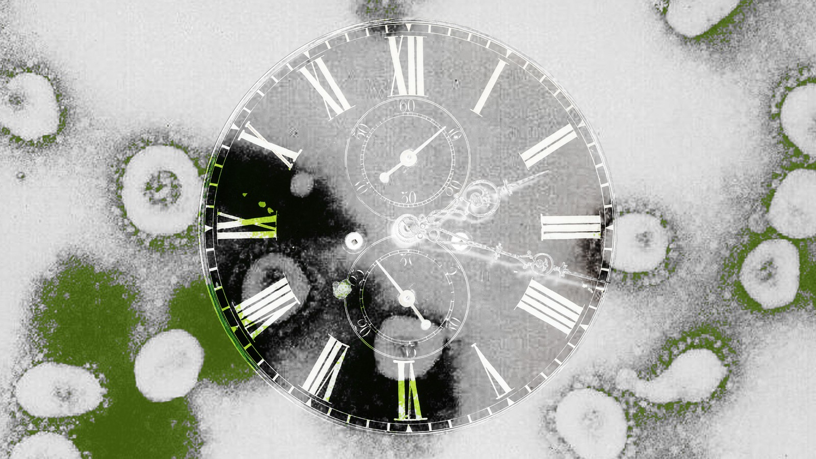 The Dangerous Delays In U S Coronavirus Testing Haven T Stopped
