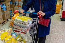 a person pushing a cart in a grocery store