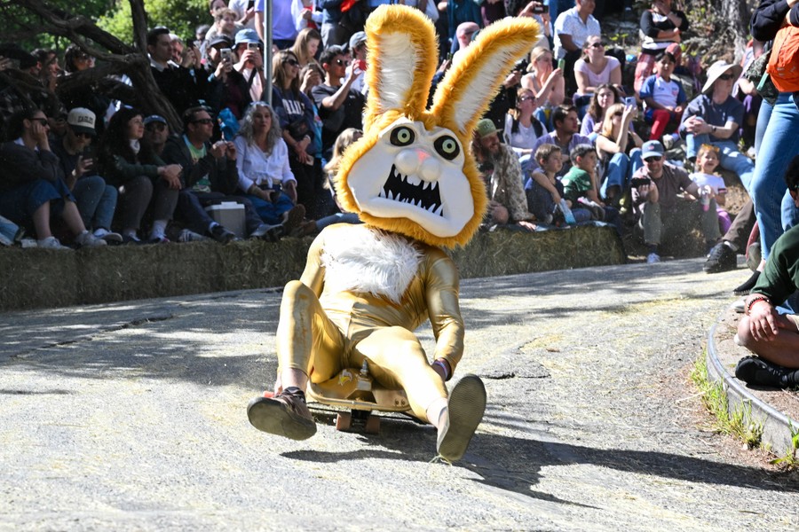 A person wearing an unusual rabbit costume races down a road on a curving hill atop a makeshift wheeled platform.