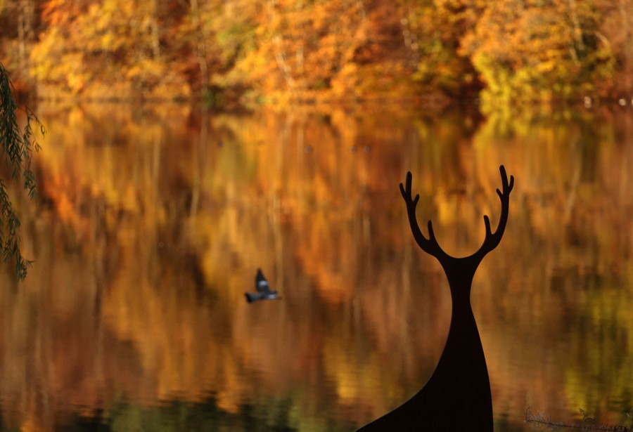 A statue of a deer is silhouetted against a lake reflecting autumn leaves.