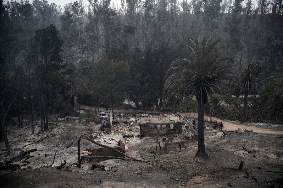 A burned area, including destroyed buildings and damaged trees
