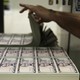 Someone leafs through a pile of $5 bills