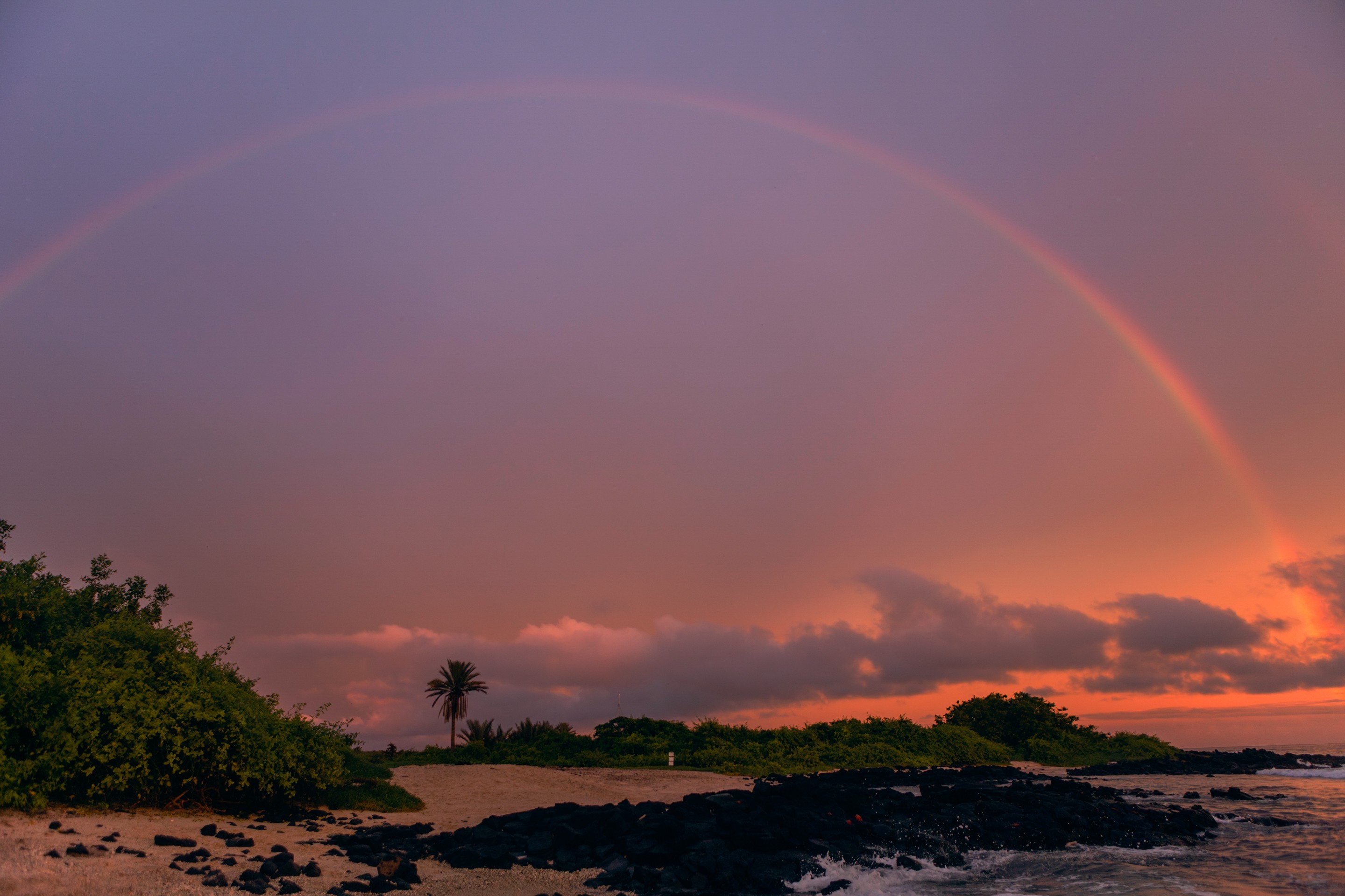 Paradise Revisited photo of purple and pink sunset at shoreline