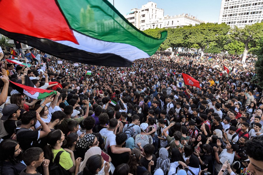 A large crowd of pro-Palestinian protesters