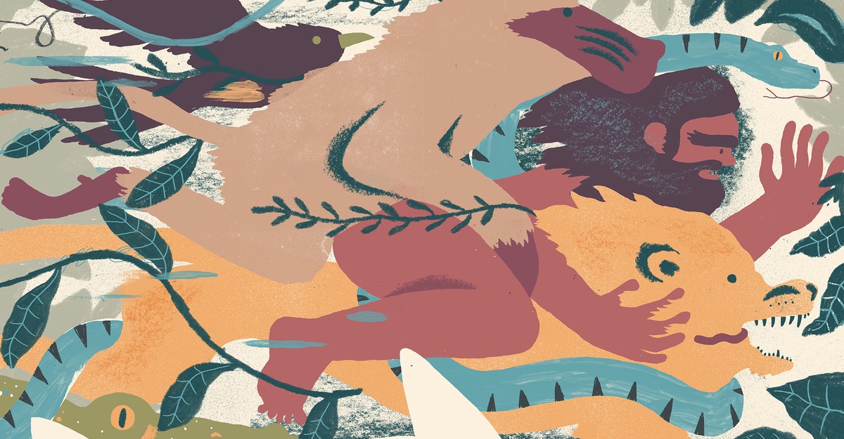 What People Can Learn From How Animals Think - The Atlantic