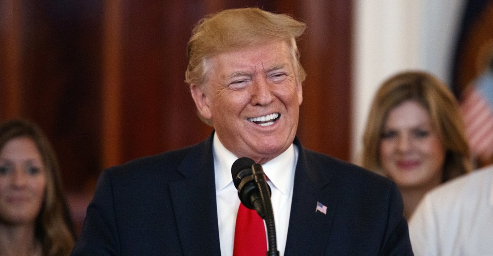 Type my popular descriptive essay on donald trump 07 image