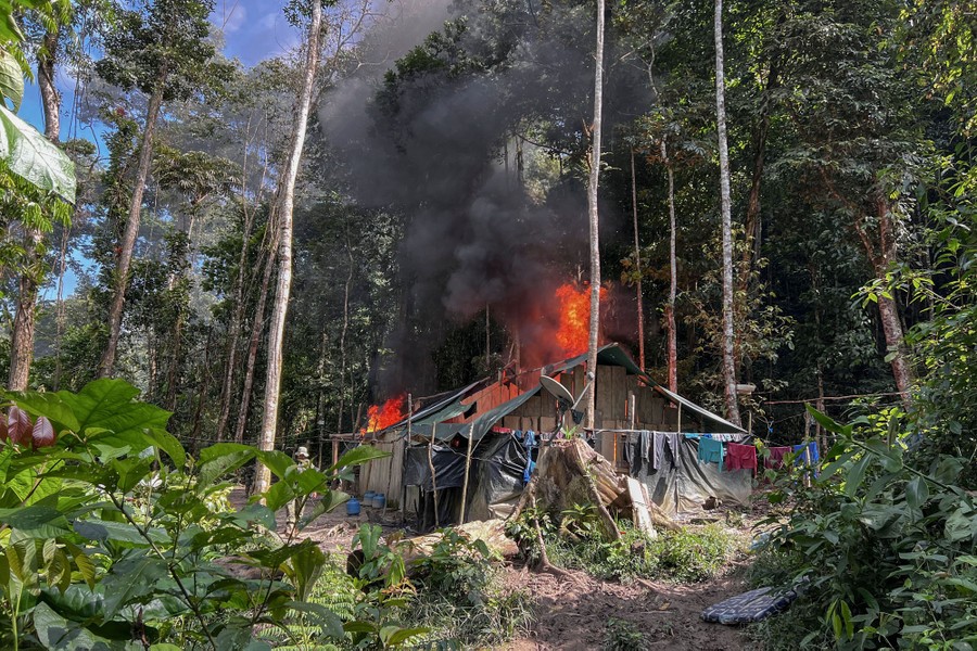 A shack burns in a forest.
