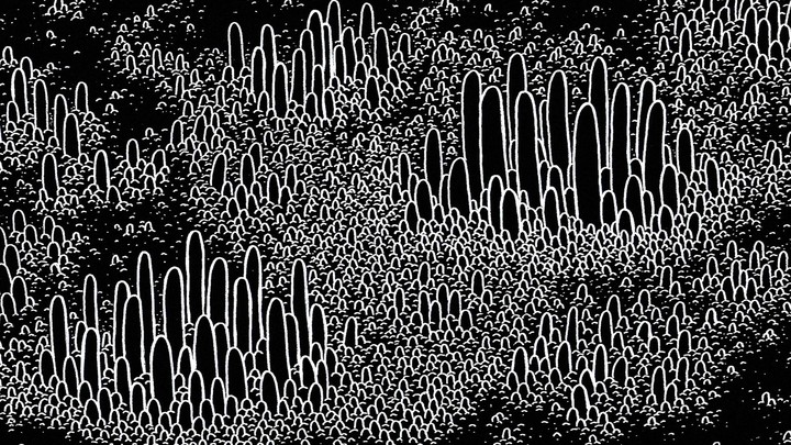 Black-and-white artist's imagination of a bacterial metropolis