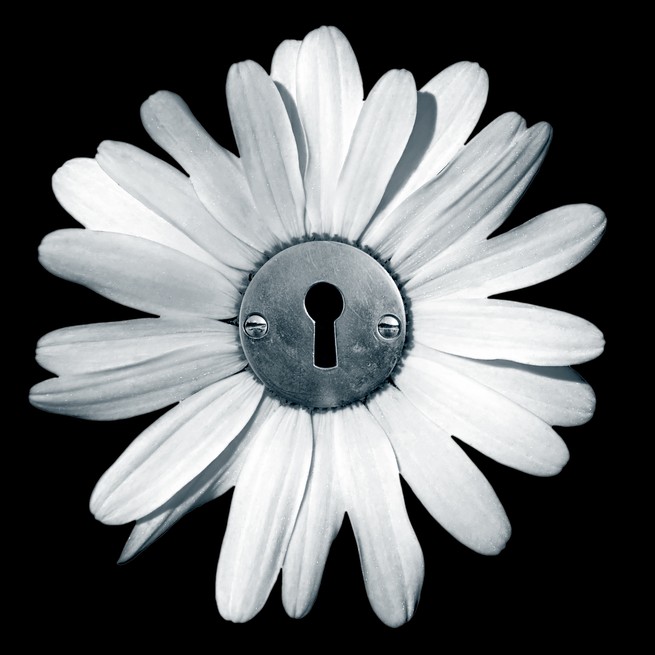 Illustration of a flower with a lock.