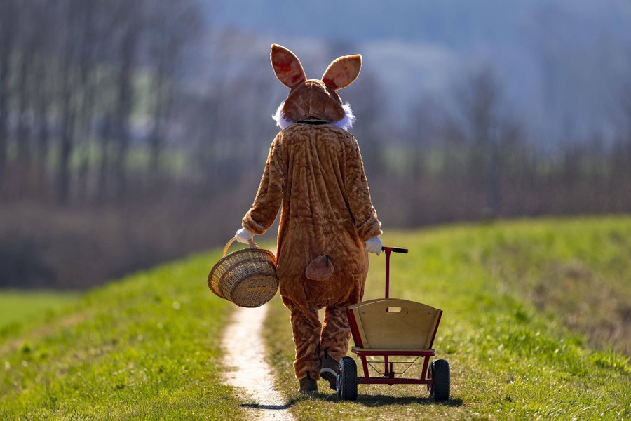 A person dressed as the Easter Bunny pulls an empty cart along a meadow.