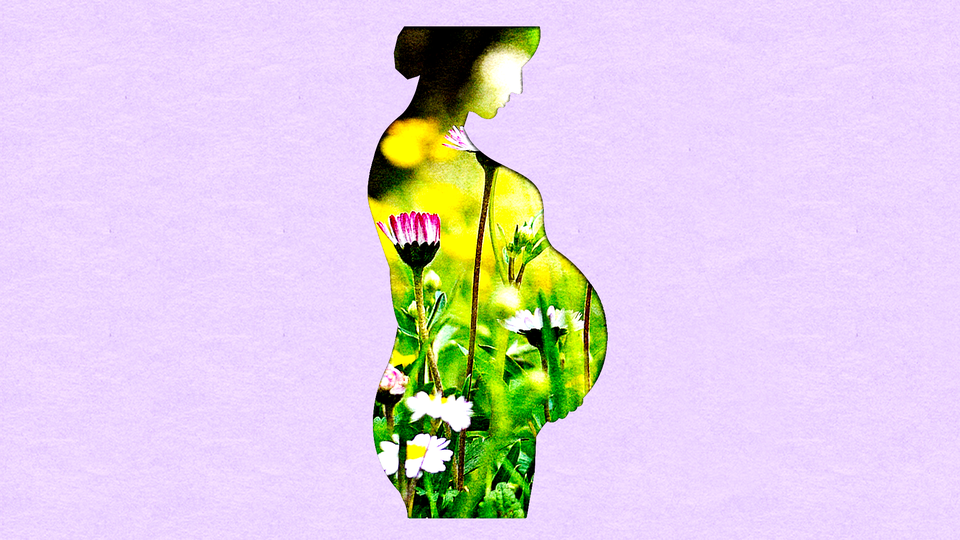 a silhouette of a pregnant person with art of a flowery field superimposed