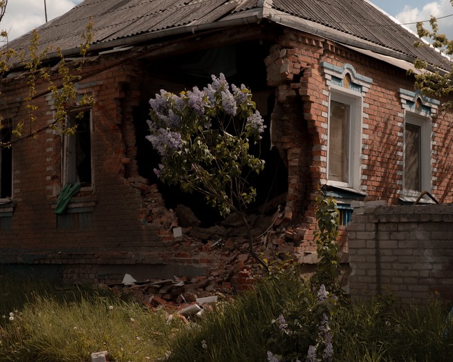 a hole in a home with a flowering tree growing 