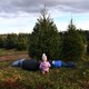 Christmas tree farm